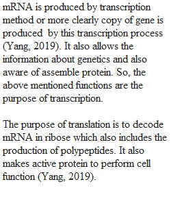 The difference between Transcription and Translation